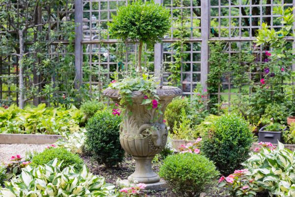 Topiary Pruning in Oroville