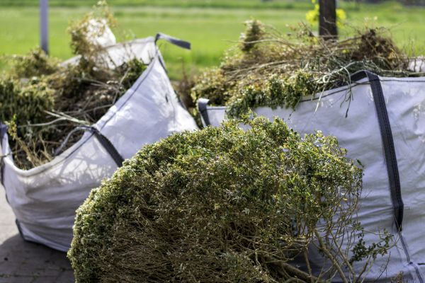Cost of Shrubs Removal in Oroville