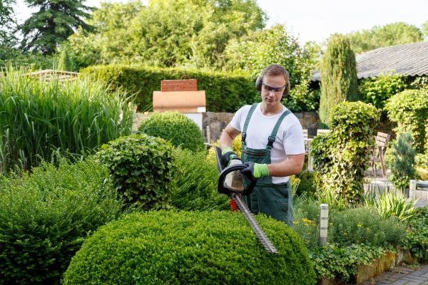 Shrubs Trimming in Oroville