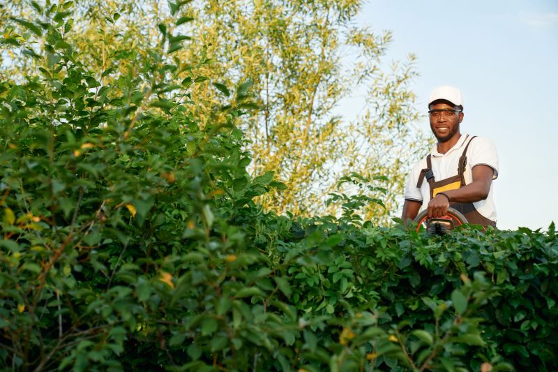 Landscaper Working on Shrubs